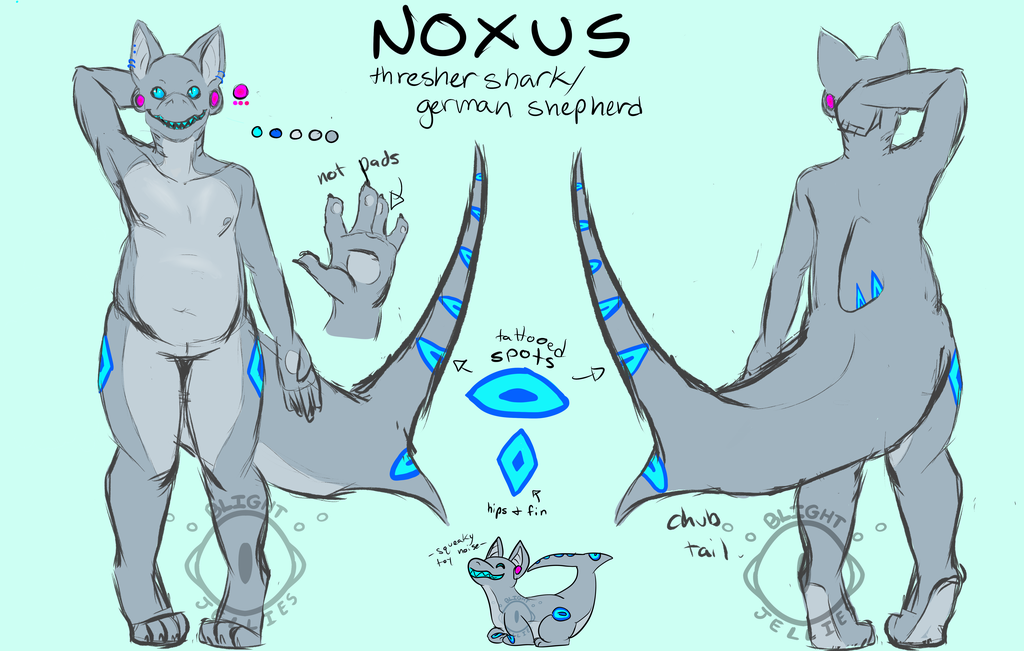 Noxus the Thresher shark by. 