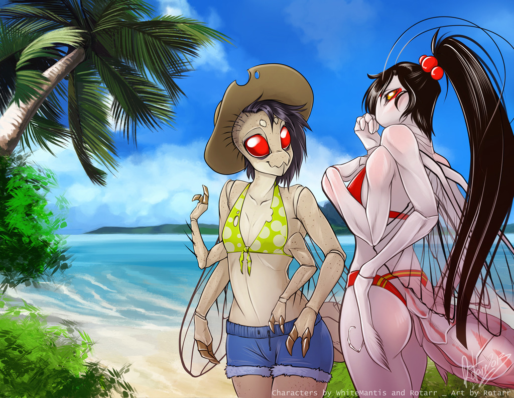 "Let's go check out the beach..."