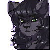 avatar of Koyote