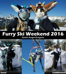 Dutch Angel Dragons @ Furry Ski Weekend 2016