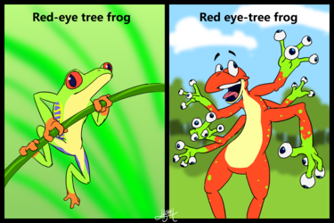 Know your frogs