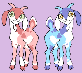 candy goats