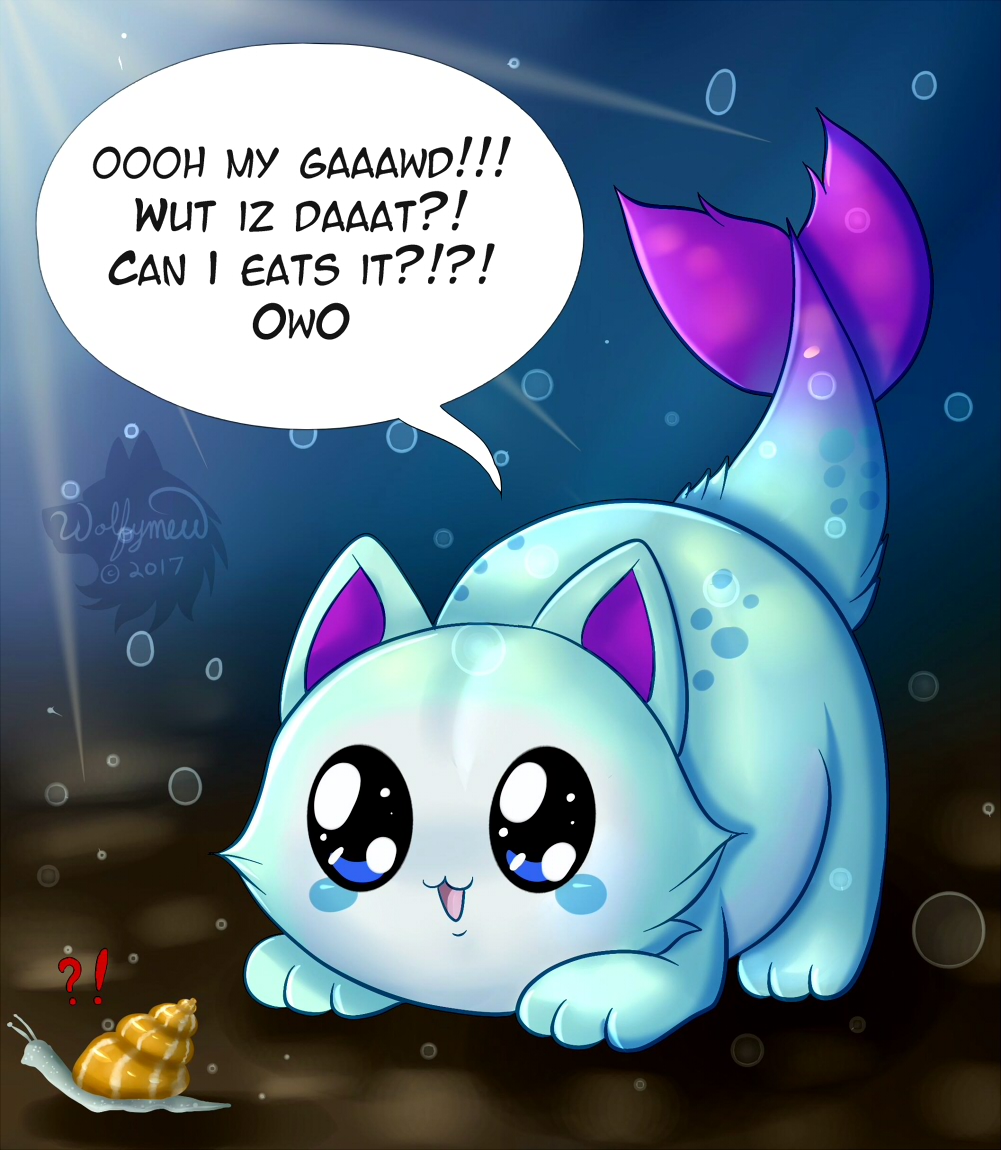 Sea Kitty - Catfish