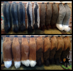Canine Tails FOR SALE