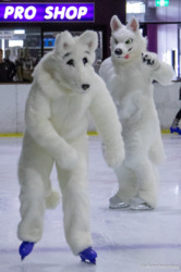 Furries On Ice: Arctic Wolves