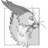 avatar of Maeven