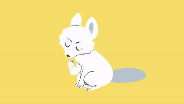 Arctic Fox [Animation]