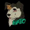 avatar of Hato The Collie