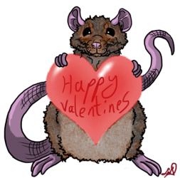 Valentines rat