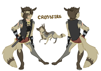 Crossfire Ref