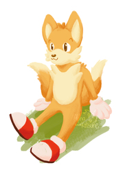 Lineless Tails Practice