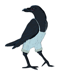 Crow Fashion
