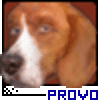 avatar of provolvere