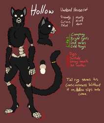 Hollow the (kind of dead) House Cat