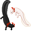 Pixeled Axolotls