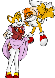 Matt and Nat Sonic Swap: Tails and Vanilla