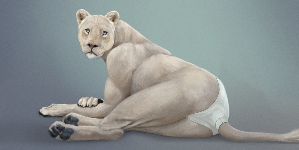 Resting white lion