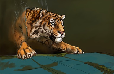 Tiger WIP
