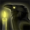 avatar of BirdShadows