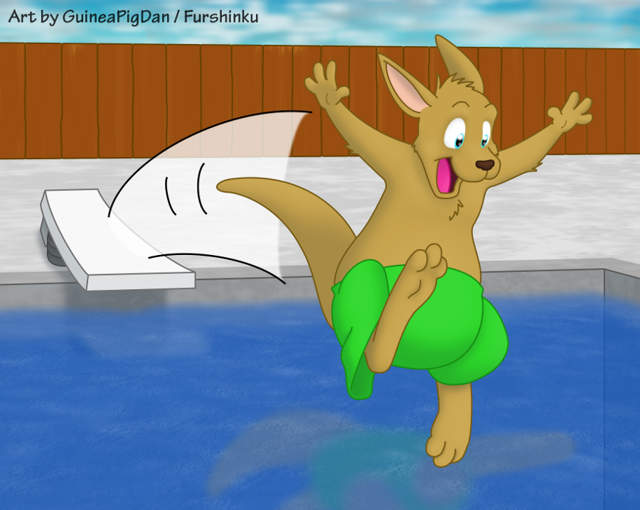 Kangaroo hopping off a diving board -COLOR-