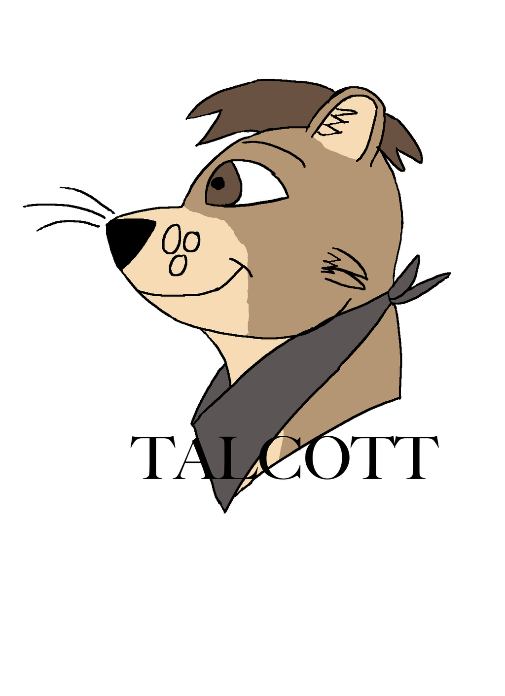 Talcott headshot