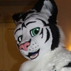 avatar of Kitt3ns