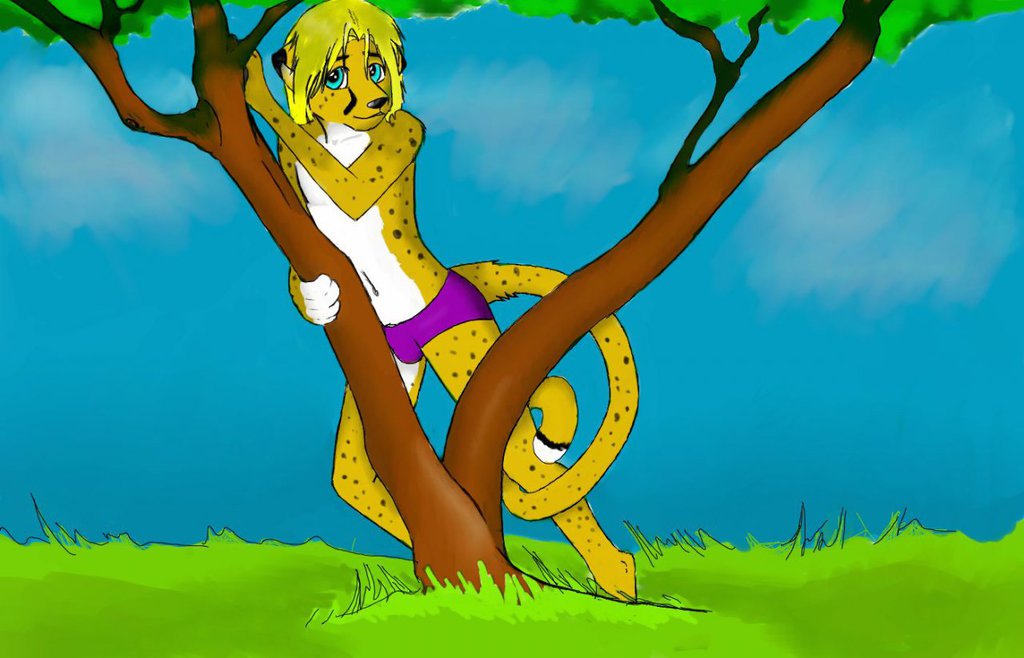 Most recent image: Cheetahs like trees... i think