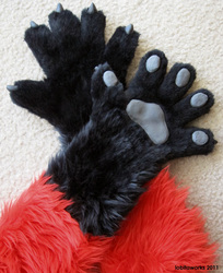 Bright Red Fox Paws
