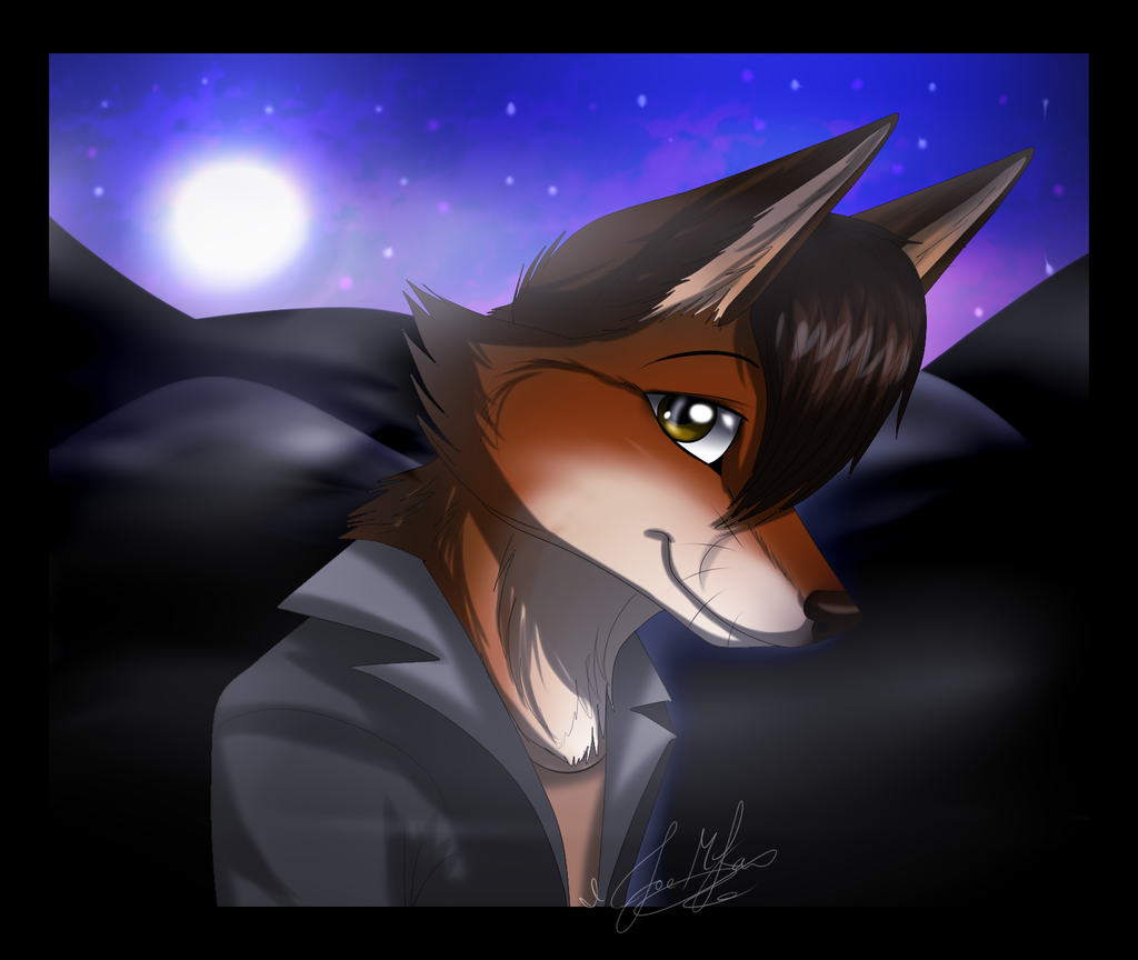 .:GA:. The Fox-Coy at Night