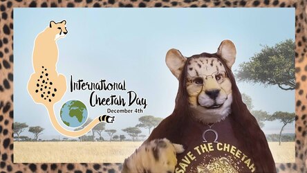 [VIDEO] Happy International Cheetah Day 2023!