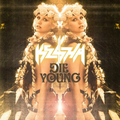 Kesha - Die Young metal cover