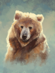 Bear portrait - quick study