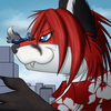avatar of foxgamer01