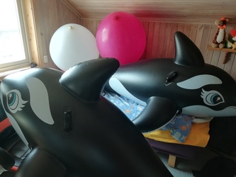 Inflatables and Big Balloonies!~