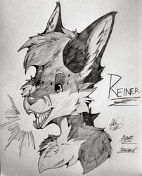 Meet Reiner!