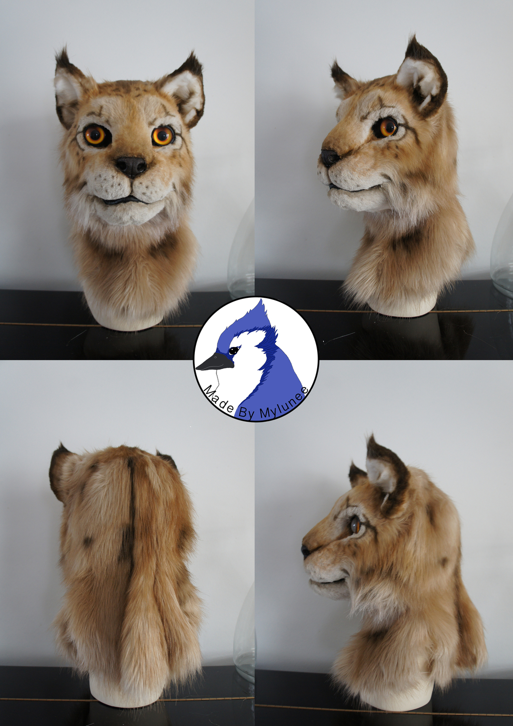 Eurasian Lynx Collage