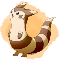 Pokeddexy: Favorite Normal Type - Furret