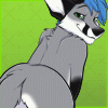 avatar of Takum