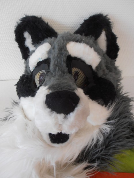 A raccoon makeover - Quincy got new eyes!