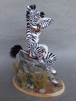 Zebra Savannah
