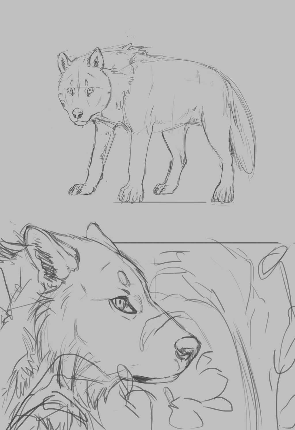 Wolves Sketch