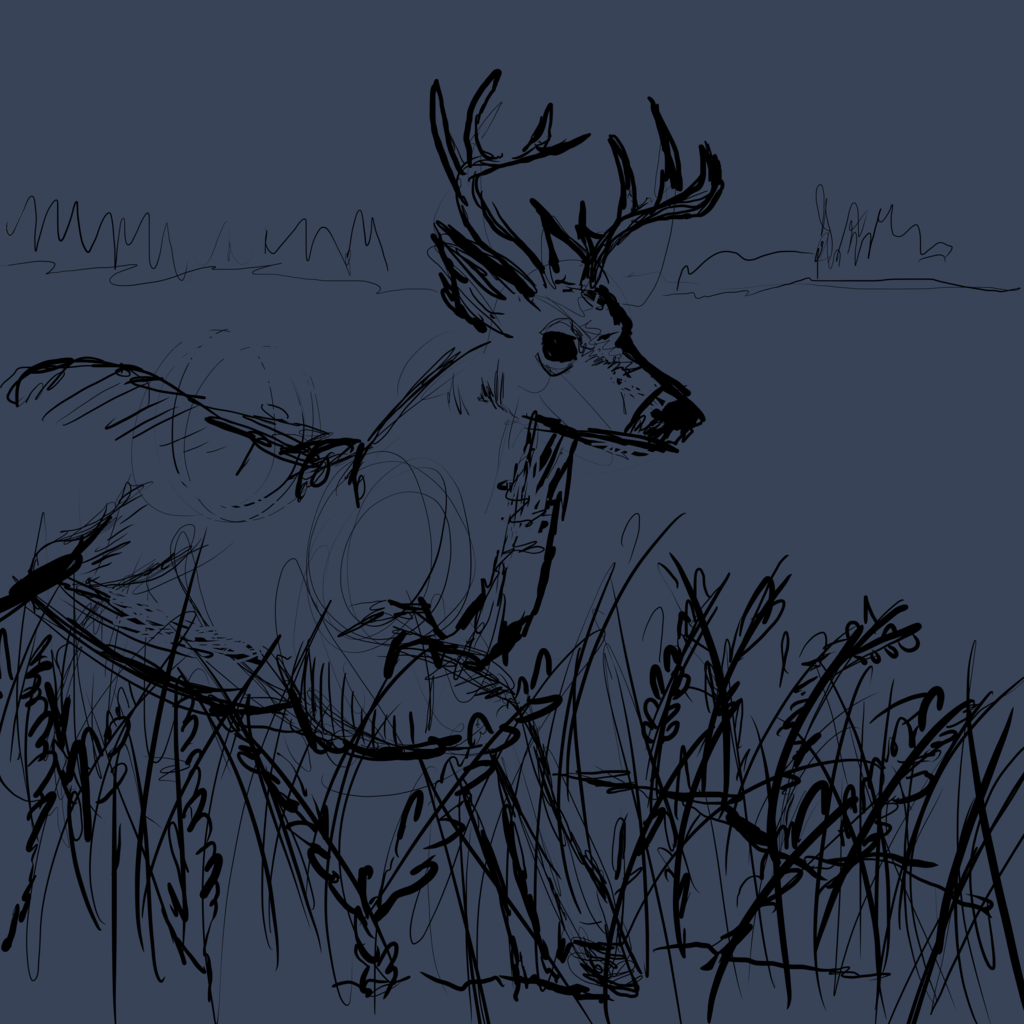 I have an obsession with deer