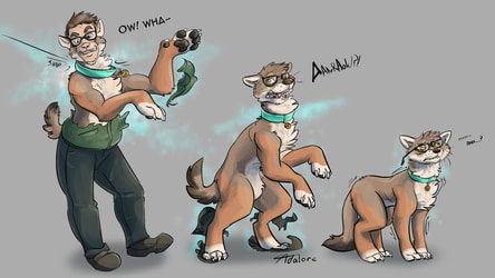Comm - Anon - Coyote Sequence