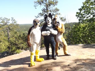 Fursuiters on top of Robbers Cave