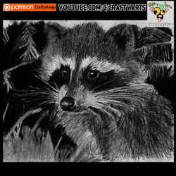 Raccoon Practice2 By CraftyAndy