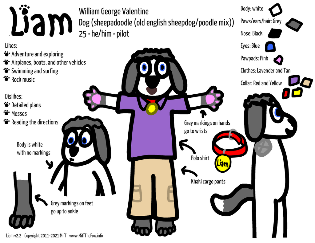 Liam Reference Sheet!