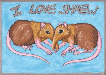 I love shrew