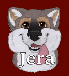 Jera BLFC 2015 badge