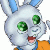 avatar of bungeebunny