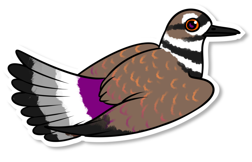 Asexual pride plover